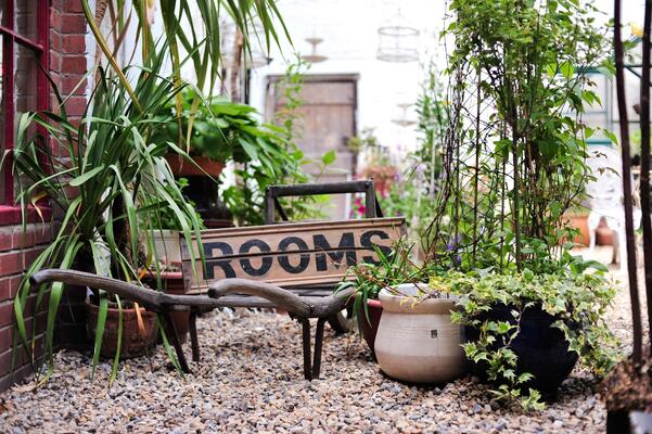 The Shepherd's Purse