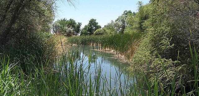 Desert National Wildlife Refuge