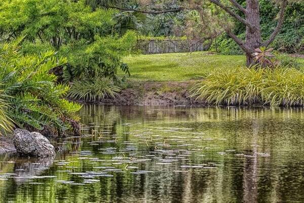 Mounts Botanical Garden