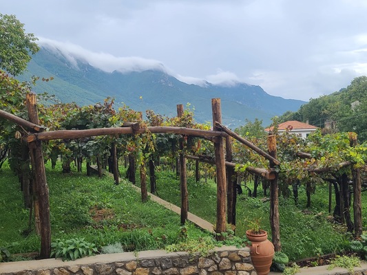 Tenuta San Francesco