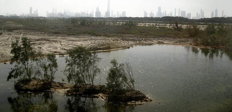 Ras Al Khor Wildlife Sanctuary