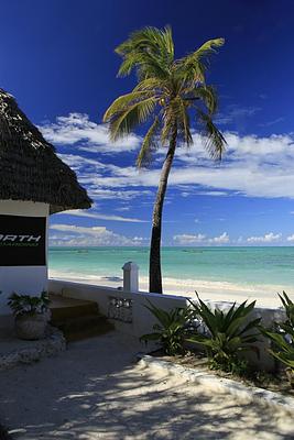 Red Monkey Lodge Zanzibar