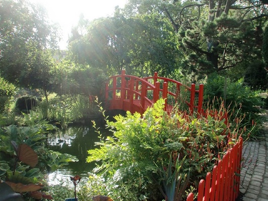 Jardin Botanique