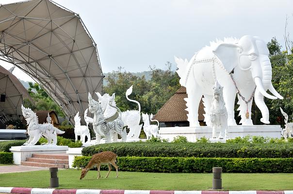 Chiang Mai Zoo