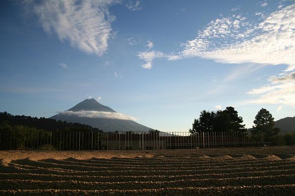 Finca Filadelfia Coffee Resort & Tours