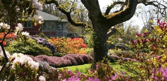 Abkhazi Garden