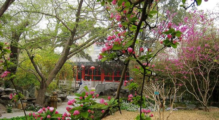 Bamboo Garden Hotel