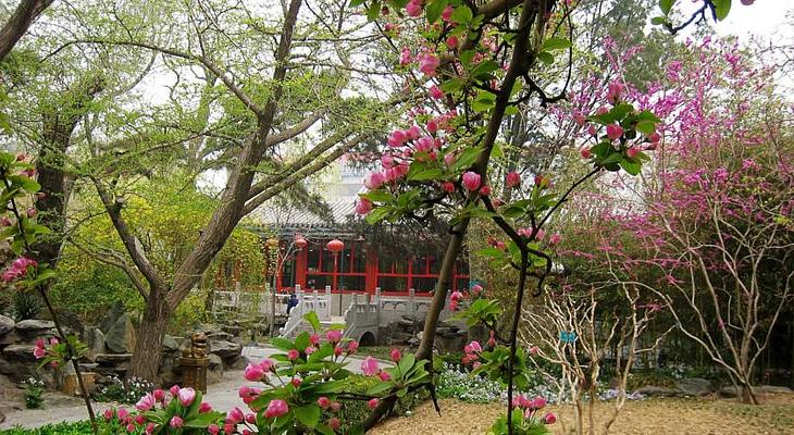 Bamboo Garden Hotel