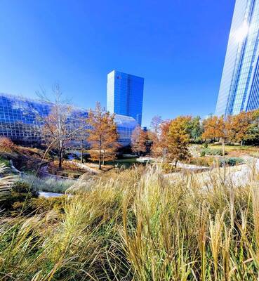 Myriad Botanical Gardens