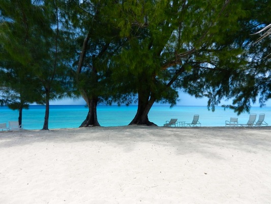 Silver Sands