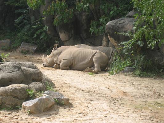 The Maryland Zoo