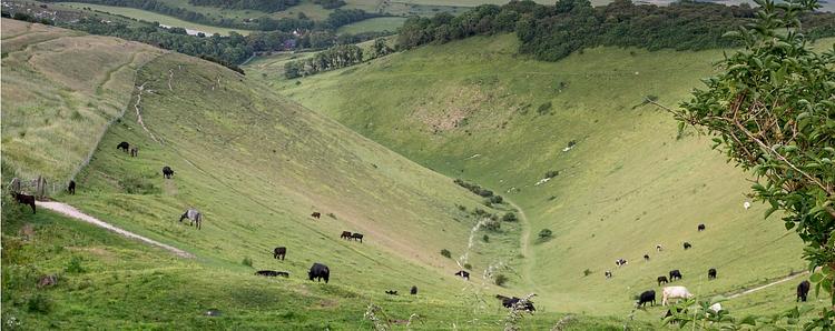 Devil's Dyke National Trust