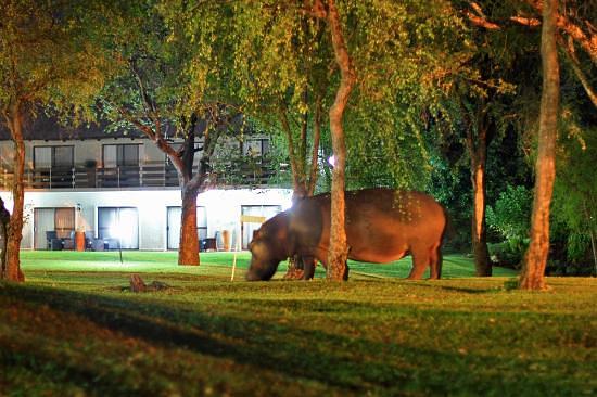 A'Zambezi River Lodge