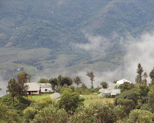 Kelburne Mountain View Cottages