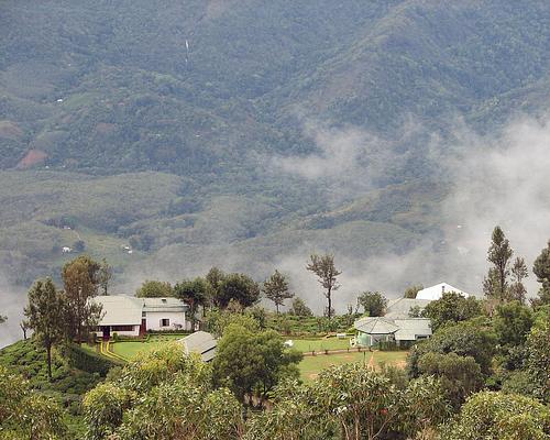 Kelburne Mountain View Cottages