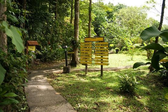 La Quinta Sarapiqui Lodge