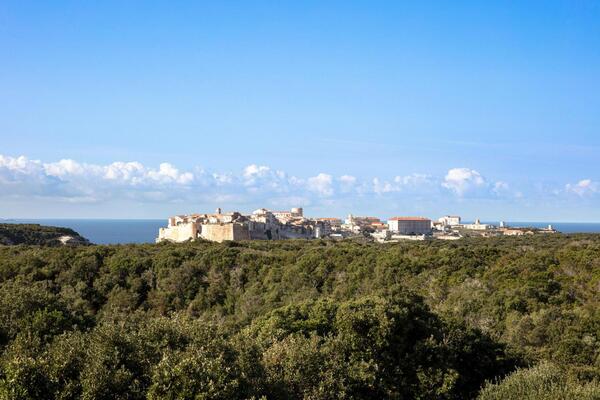 Hotel Et Spa Version Maquis Citadelle