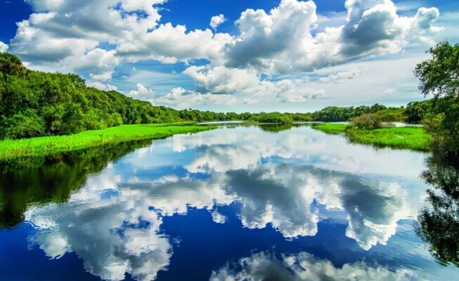 Myakka River State Park