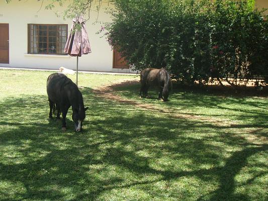 Kilimanjaro Country Lodge