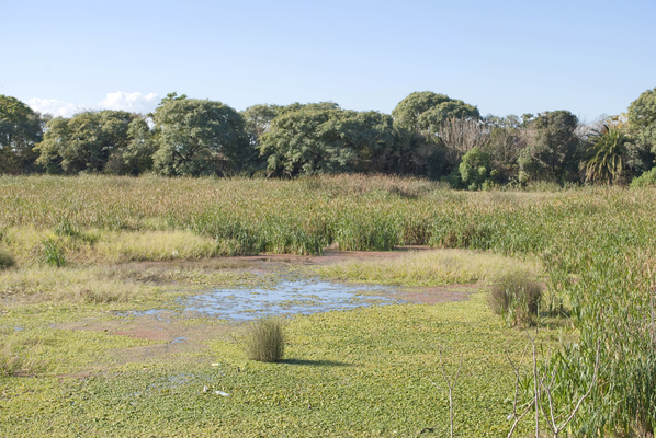 Reserva Ecologica