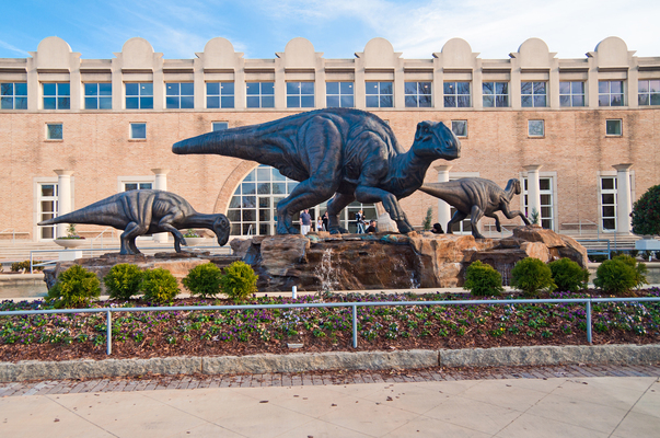 Fernbank Museum