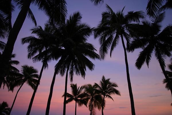 Sheraton Fiji Golf & Beach Resort