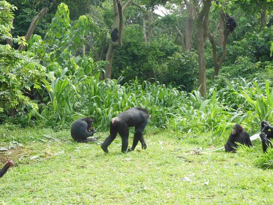 Uganda Wildlife Conservation Education Centre
