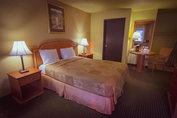 Safari Inn