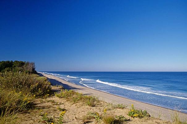 Cape Cod National Seashore