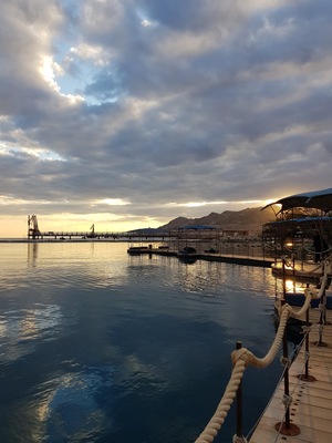 Dolphin Reef
