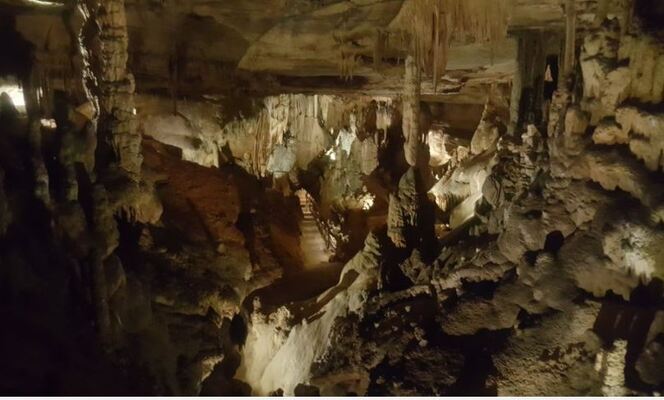 Raccoon Mountain Caverns