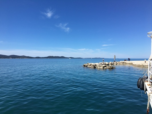 Foša