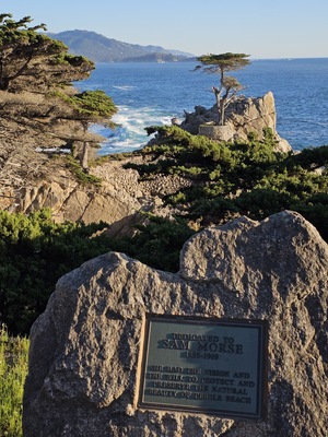 Lone Cypress