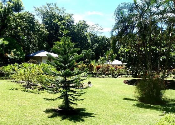 Nypa Style Resort Camiguin