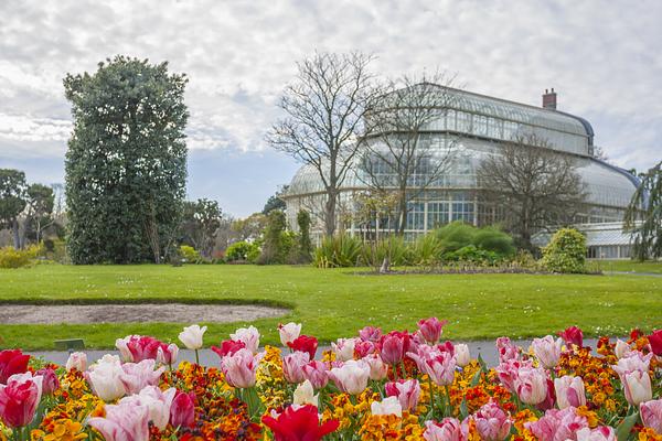 National Botanic Gardens