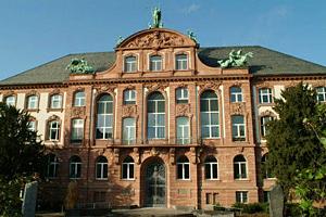 Senckenberg Natural History Museum (Naturmuseum Senckenberg)