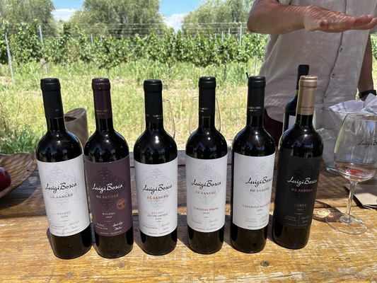 Finca El Paraiso - Bodega Luigi Bosca