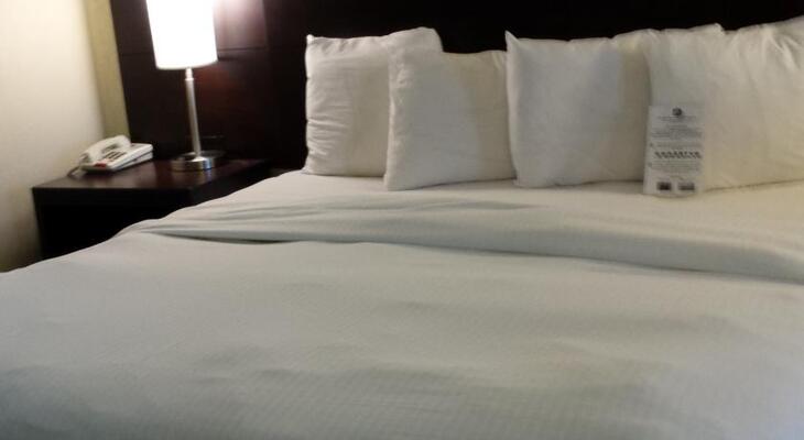 Best Western Suites Near Opryland