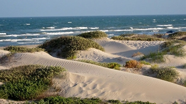 Padre Island National Seashore