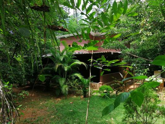 Silent Bungalow in Knuckles