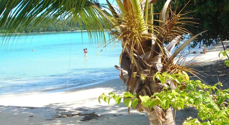 Hotel Hibiscus Moorea