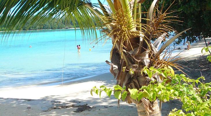 Hotel Hibiscus Moorea