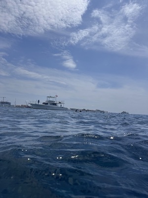 Kittiwake Shipwreck & Artificial Reef