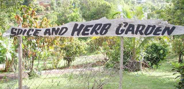 Laura's Herb & Spice Garden