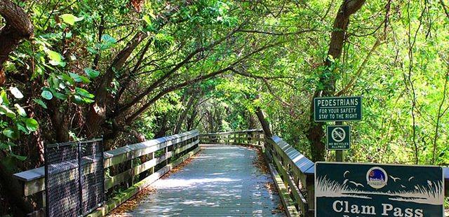 Clam Pass Park