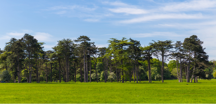 Phoenix Park