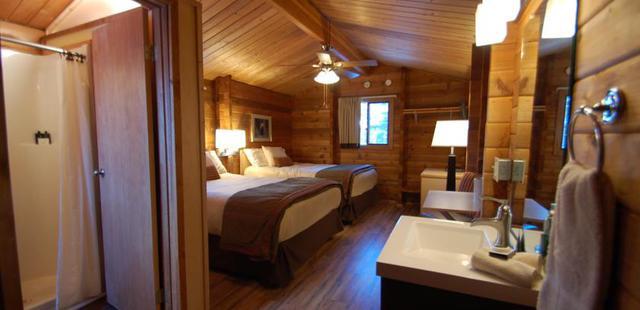 Denali Cabins