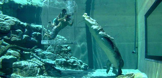 Crocosaurus Cove