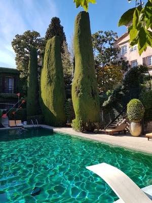 La Colombe d'Or Hotel