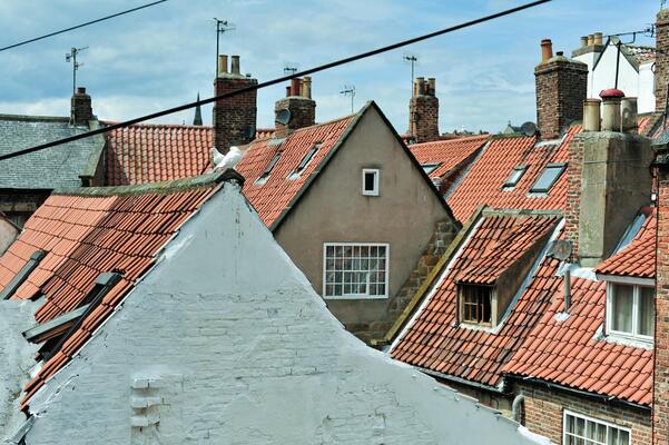 The Shepherd's Purse